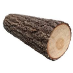 Log's Asylum