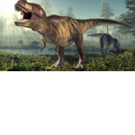Dino dude’S Group