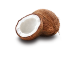 Da Coconut Squad