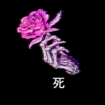 The Rose and The Skeleton