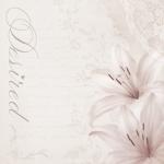 ! desired。