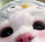 IsUrXoxoAngel