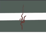 The republic of Ashelra