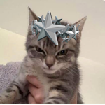 wuizka?