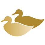 duckity duck duck