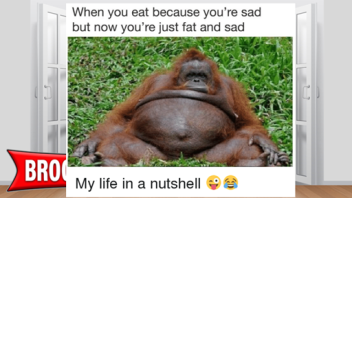 Survive On Brookhaven 🏡RP By Fat Monkeys 