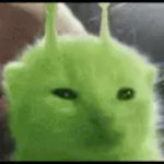 Glerp Glorp