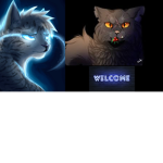 The Cult Of Jayfeather(we have yellowfang to)