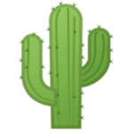 Cactus's :>