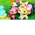 The LPS Kitty Girls