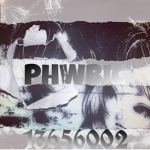 phwbic