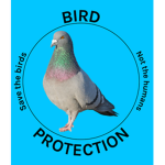 Bird protection