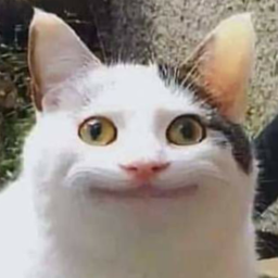 Noob 2D