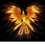 PhoenixAspect Studios