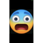The BlueBerryz