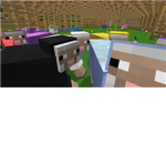The Fans of MineCraft!