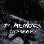 ヤ memory