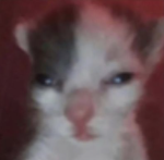 NO SE :V 2