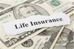 The ROBLOX insurance Program (R.I.P)