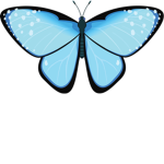 Blueberry-Butterfly