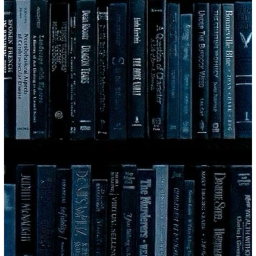 💙🩶