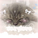 cozylove