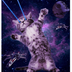 MLG DOGS AND CATS