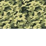Max Military