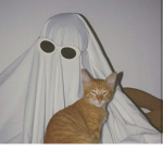 Jacob_XE