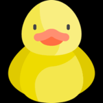 Ducky co