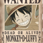 Les monkey.d