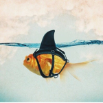 Fishh