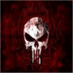 THE PUNISHERS THE BEST OF THE BEST