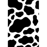 My Zebras