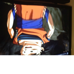 Goku Crazy Fans
