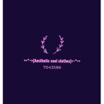 +=*~>{Aesthetic cool clothes}<~*=+