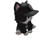 Cute Sitting Cat Kitten on Head
