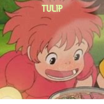 •tulip•