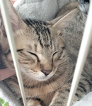 ニニニグループ
