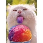 Taste The Rainbowz