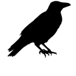 Silver Crow Academy
