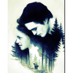 Twilight Saga breaking dawn
