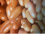 Da awesome and cool beans