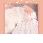 ~Daisyxlavendar~