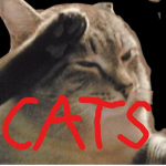 C A T S