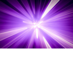 Purples Escape the night Staff