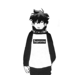 Robuschd b