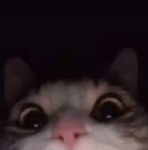 panxz