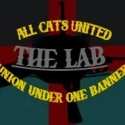 The Cattish Lab