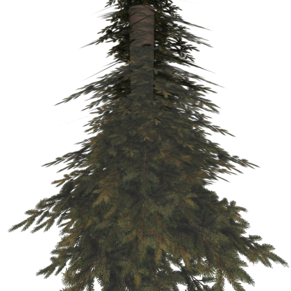 🌠 [New!] Realistic Forest Tree